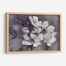 Cuentos De Una Glen Encantada I - Gillian Hunt | Cuadro decorativo de Canvas Lab