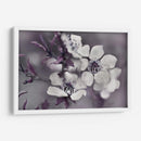 Cuentos De Una Glen Encantada I - Gillian Hunt | Cuadro decorativo de Canvas Lab