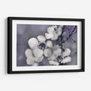 Cuentos De Una Glen Ii Encantada - Gillian Hunt | Cuadro decorativo de Canvas Lab