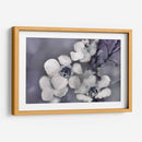 Cuentos De Una Glen Ii Encantada - Gillian Hunt | Cuadro decorativo de Canvas Lab