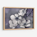 Cuentos De Una Glen Ii Encantada - Gillian Hunt | Cuadro decorativo de Canvas Lab