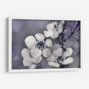 Cuentos De Una Glen Ii Encantada - Gillian Hunt | Cuadro decorativo de Canvas Lab