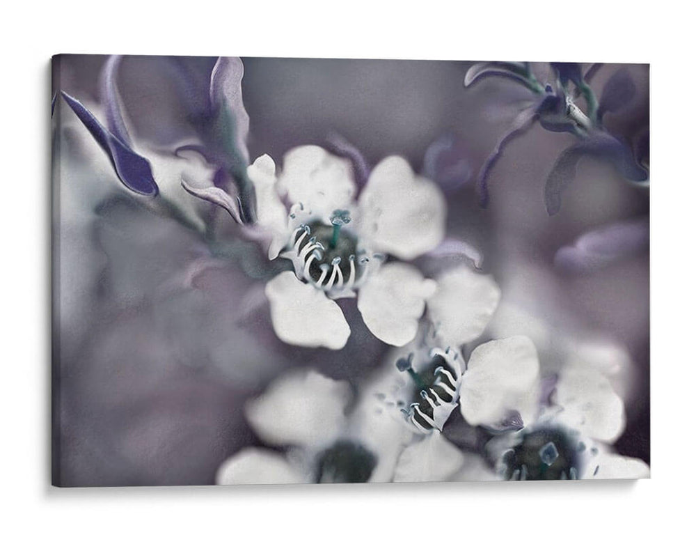 Cuentos De Un Encantado Glen Iii - Gillian Hunt | Cuadro decorativo de Canvas Lab