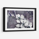 Cuentos De Un Encantado Glen Iii - Gillian Hunt | Cuadro decorativo de Canvas Lab