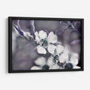 Cuentos De Un Encantado Glen Iii - Gillian Hunt | Cuadro decorativo de Canvas Lab