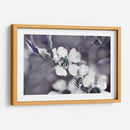 Cuentos De Un Encantado Glen Iii - Gillian Hunt | Cuadro decorativo de Canvas Lab