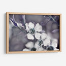 Cuentos De Un Encantado Glen Iii - Gillian Hunt | Cuadro decorativo de Canvas Lab