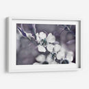 Cuentos De Un Encantado Glen Iii - Gillian Hunt | Cuadro decorativo de Canvas Lab