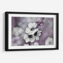 Cuentos De Una Glen Encantada Iv - Gillian Hunt | Cuadro decorativo de Canvas Lab