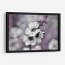 Cuentos De Una Glen Encantada Iv - Gillian Hunt | Cuadro decorativo de Canvas Lab