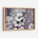 Cuentos De Una Glen Encantada Iv - Gillian Hunt | Cuadro decorativo de Canvas Lab