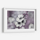 Cuentos De Una Glen Encantada Iv - Gillian Hunt | Cuadro decorativo de Canvas Lab