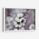 Cuentos De Una Glen Encantada Iv - Gillian Hunt | Cuadro decorativo de Canvas Lab