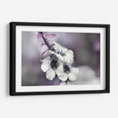 Cuentos De Una Glen Vegrada V - Gillian Hunt | Cuadro decorativo de Canvas Lab