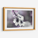 Cuentos De Una Glen Vegrada V - Gillian Hunt | Cuadro decorativo de Canvas Lab