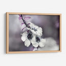 Cuentos De Una Glen Vegrada V - Gillian Hunt | Cuadro decorativo de Canvas Lab