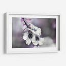 Cuentos De Una Glen Vegrada V - Gillian Hunt | Cuadro decorativo de Canvas Lab