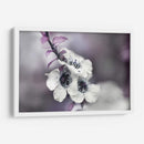 Cuentos De Una Glen Vegrada V - Gillian Hunt | Cuadro decorativo de Canvas Lab