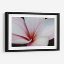 Flor Detalle - HCTR | Cuadro decorativo de Canvas Lab