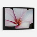 Flor Detalle - HCTR | Cuadro decorativo de Canvas Lab