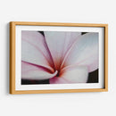 Flor Detalle - HCTR | Cuadro decorativo de Canvas Lab