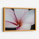 Flor Detalle - HCTR | Cuadro decorativo de Canvas Lab