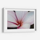 Flor Detalle - HCTR | Cuadro decorativo de Canvas Lab