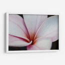 Flor Detalle - HCTR | Cuadro decorativo de Canvas Lab