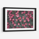 Texturas De Naturalezas I - Renee W. Stramel | Cuadro decorativo de Canvas Lab