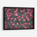 Texturas De Naturalezas I - Renee W. Stramel | Cuadro decorativo de Canvas Lab