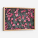 Texturas De Naturalezas I - Renee W. Stramel | Cuadro decorativo de Canvas Lab