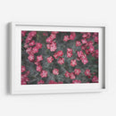 Texturas De Naturalezas I - Renee W. Stramel | Cuadro decorativo de Canvas Lab