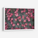 Texturas De Naturalezas I - Renee W. Stramel | Cuadro decorativo de Canvas Lab