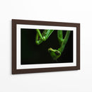 Mantis - HCTR | Cuadro decorativo de Canvas Lab