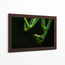 Mantis - HCTR | Cuadro decorativo de Canvas Lab