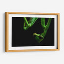 Mantis - HCTR | Cuadro decorativo de Canvas Lab