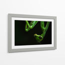 Mantis - HCTR | Cuadro decorativo de Canvas Lab