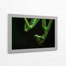 Mantis - HCTR | Cuadro decorativo de Canvas Lab