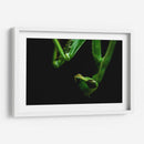 Mantis - HCTR | Cuadro decorativo de Canvas Lab