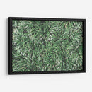 Texturas De Naturalezas Ii - Renee W. Stramel | Cuadro decorativo de Canvas Lab