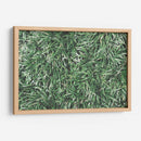 Texturas De Naturalezas Ii - Renee W. Stramel | Cuadro decorativo de Canvas Lab