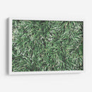 Texturas De Naturalezas Ii - Renee W. Stramel | Cuadro decorativo de Canvas Lab