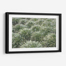 Texturas De Naturalezas Iii - Renee W. Stramel | Cuadro decorativo de Canvas Lab