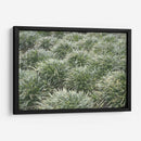 Texturas De Naturalezas Iii - Renee W. Stramel | Cuadro decorativo de Canvas Lab