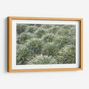 Texturas De Naturalezas Iii - Renee W. Stramel | Cuadro decorativo de Canvas Lab