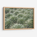 Texturas De Naturalezas Iii - Renee W. Stramel | Cuadro decorativo de Canvas Lab