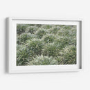 Texturas De Naturalezas Iii - Renee W. Stramel | Cuadro decorativo de Canvas Lab