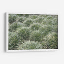 Texturas De Naturalezas Iii - Renee W. Stramel | Cuadro decorativo de Canvas Lab