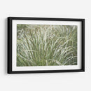 Texturas De Naturalezas Iv - Renee W. Stramel | Cuadro decorativo de Canvas Lab