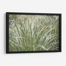 Texturas De Naturalezas Iv - Renee W. Stramel | Cuadro decorativo de Canvas Lab